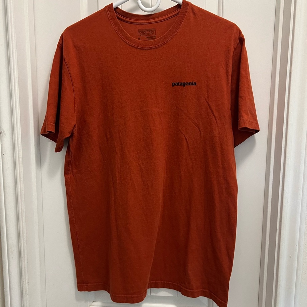 Patagonia Men's Rust T-Shirt